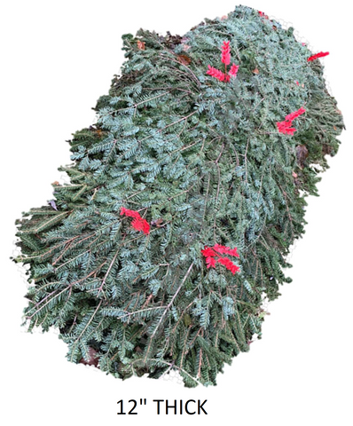 #9 Adult 12" Blanket and #12 24" Wreath with a Deluxe Cluster of Red-Tipped White Pinecones, Red Ruscus and a Lovely Bow on Easel