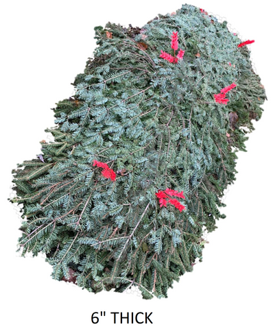 #8 Adult 6" Blanket and #12 24" Wreath with a Deluxe Cluster of Red-Tipped White Pinecones, Red Ruscus and a Lovely Bow on Easel